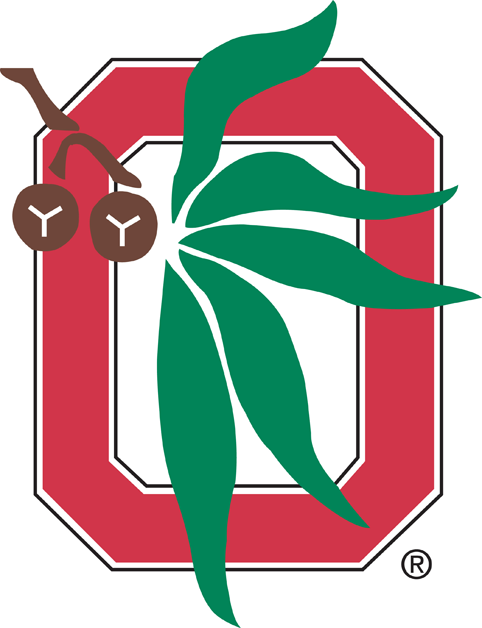 Ohio State Buckeyes 1968-Pres Alternate Logo v3 DIY iron on transfer (heat transfer)